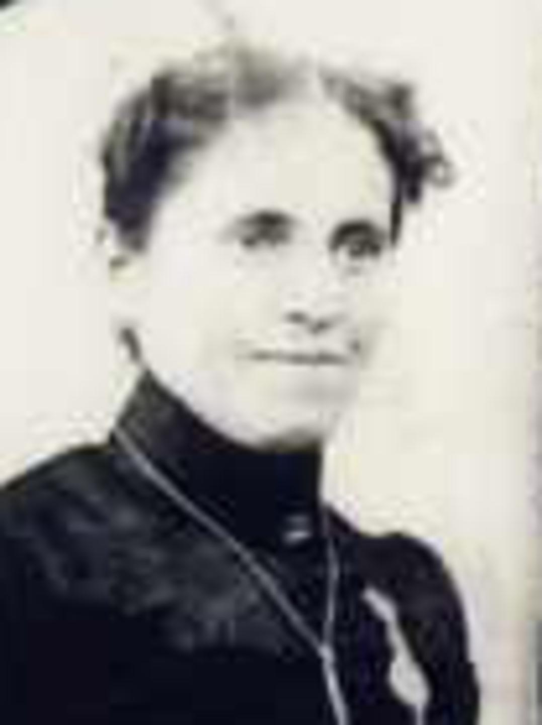 Verena Bachman (1857 - 1925) Profile